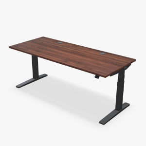 UPLIFT Standing Desk V3